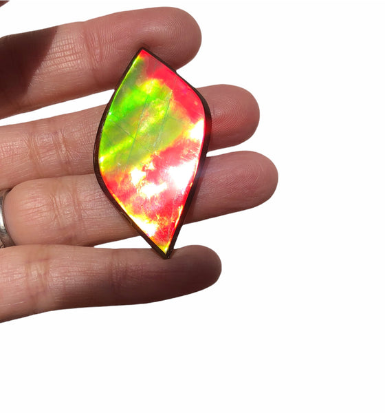 Natural hand polished, Free Form . FFNT161 Ammolite High Grade.