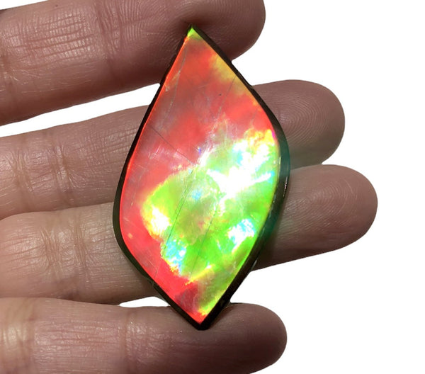 Natural hand polished, Free Form . FFNT161 Ammolite High Grade.