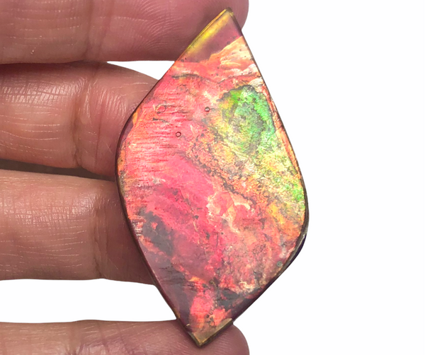 Natural hand polished, Free Form . FFNT161 Ammolite High Grade.