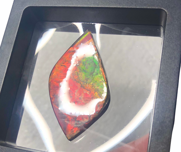 Natural hand polished, Free Form . FFNT161 Ammolite High Grade.