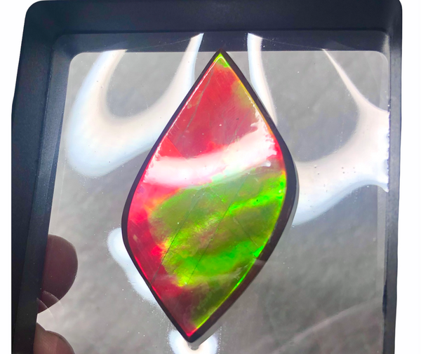 Natural hand polished, Free Form . FFNT161 Ammolite High Grade.