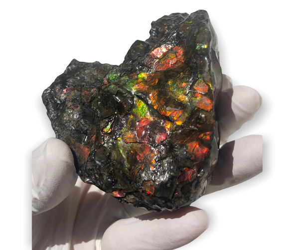 3.55"  Ammolite Rough Display Double-Sided  90mm - RS-21 Rough Stone Collection Ammolite