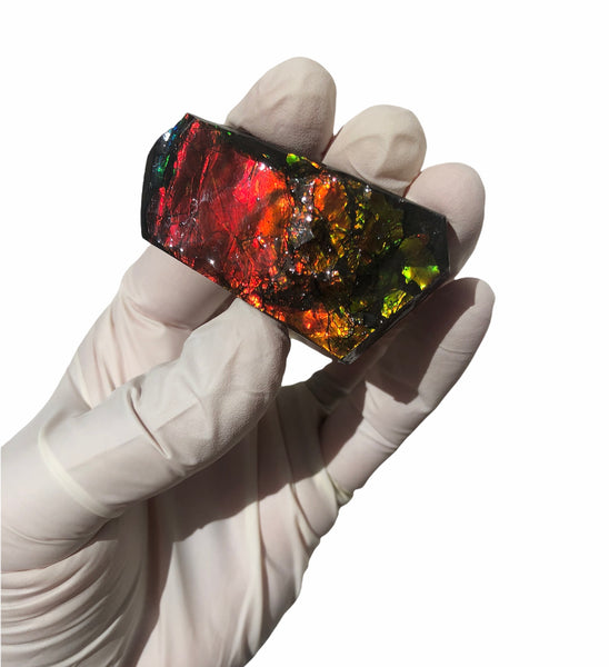 2"  Ammolite Rough Display Double-Sided  51mm - RS-23  Rough Stone Collection Ammolite