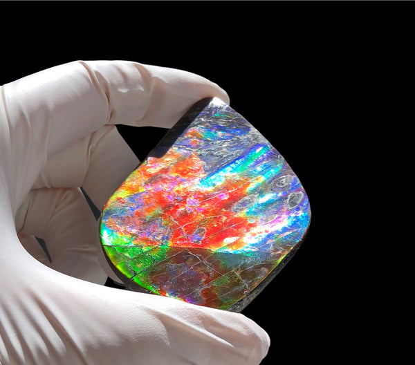 Auction CLOSED! 🌈Premium Auction!!  IMP-88 Super RARE LARGE Natural Hand Polished Ammolite Double-Sided Rainbow Beauty !PREMIUM  FREE SHIPPING