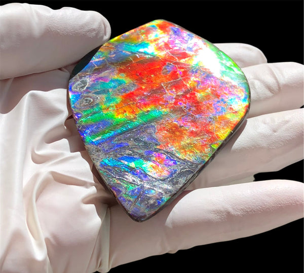 Auction CLOSED! 🌈Premium Auction!!  IMP-88 Super RARE LARGE Natural Hand Polished Ammolite Double-Sided Rainbow Beauty !PREMIUM  FREE SHIPPING