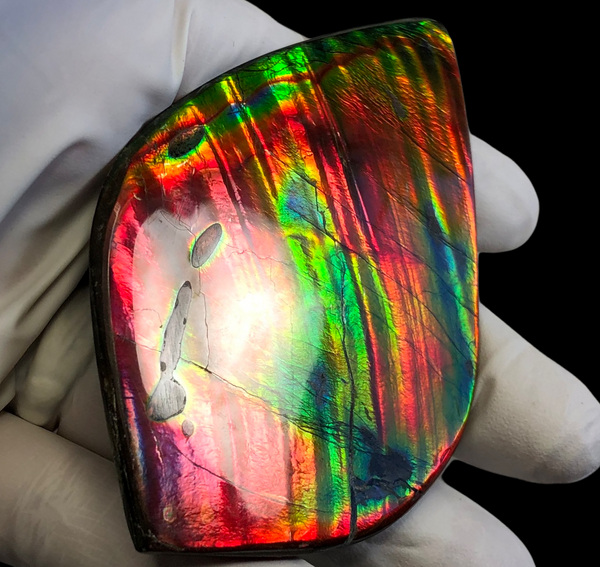 Auction CLOSED! 🌈Premium Auction!!  IMP-88 Super RARE LARGE Natural Hand Polished Ammolite Double-Sided Rainbow Beauty !PREMIUM  FREE SHIPPING
