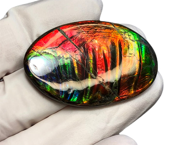 Auction Closed! Free shiping🌈🌈Auction!! **Please read the description** Rainbow Striatons! Natural hand polished, Free Form . FFNT166 Ammolite High Grade.