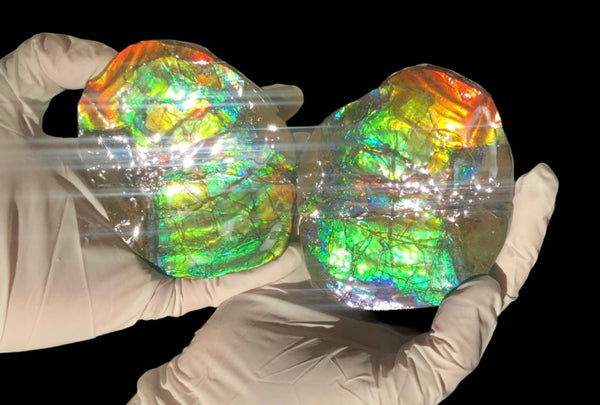 Make an offfer! CS-226  Stunning Ammolite in matrix node /Geode, Collector Stones Home Décor ***アンモライト GEODE