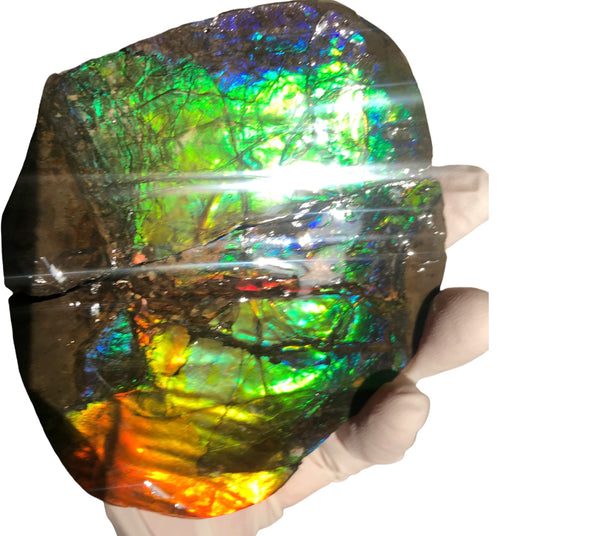 Make an offfer! CS-226  Stunning Ammolite in matrix node /Geode, Collector Stones Home Décor ***アンモライト GEODE