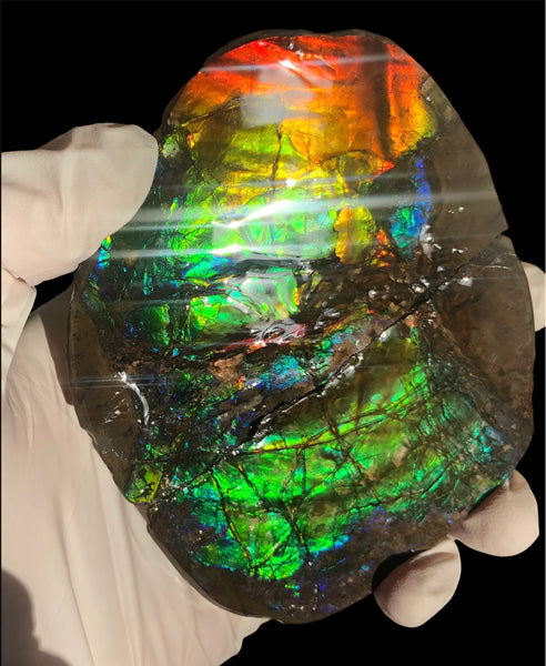 Make an offfer! CS-226  Stunning Ammolite in matrix node /Geode, Collector Stones Home Décor ***アンモライト GEODE