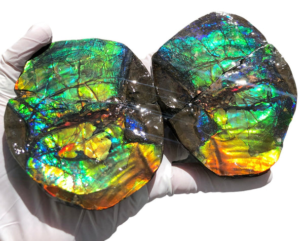 Make an offfer! CS-226  Stunning Ammolite in matrix node /Geode, Collector Stones Home Décor ***アンモライト GEODE