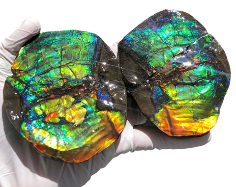 Make an offfer! CS-226  Stunning Ammolite in matrix node /Geode, Collector Stones Home Décor ***アンモライト GEODE
