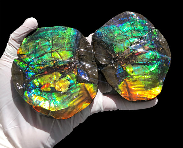 Make an offfer! CS-226  Stunning Ammolite in matrix node /Geode, Collector Stones Home Décor ***アンモライト GEODE