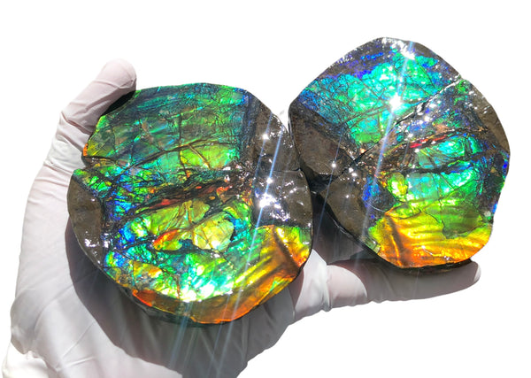 Make an offfer! CS-226  Stunning Ammolite in matrix node /Geode, Collector Stones Home Décor ***アンモライト GEODE