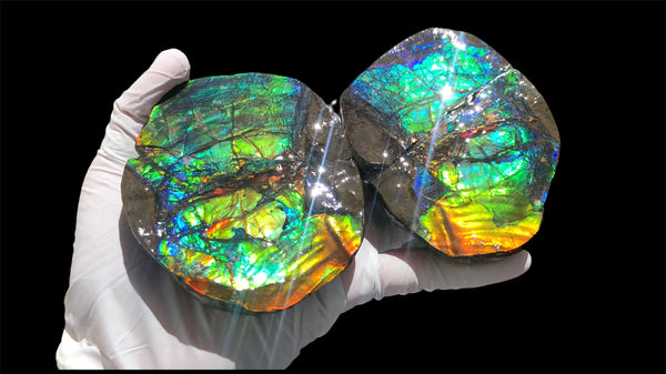 Make an offfer! CS-226  Stunning Ammolite in matrix node /Geode, Collector Stones Home Décor ***アンモライト GEODE