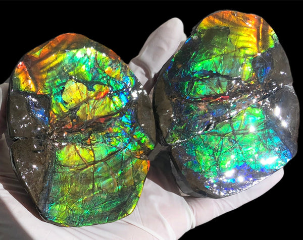 Make an offfer! CS-226  Stunning Ammolite in matrix node /Geode, Collector Stones Home Décor ***アンモライト GEODE
