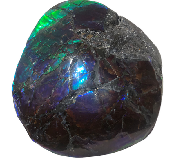 4.33" HIGH Grade Double-Sided Handheld Gem Specimen, Natural Freeform  CS-228 * Ammolite  Free Shipping! ナチュラル　ルース　アンモライトFREE SHIPPING!