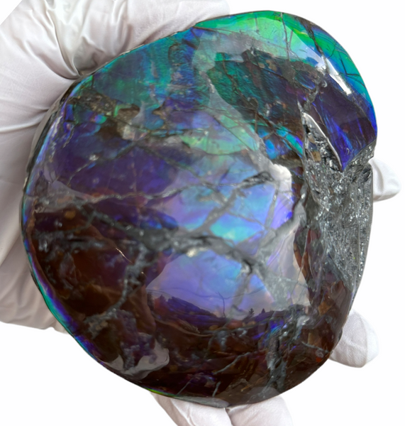4.33" HIGH Grade Double-Sided Handheld Gem Specimen, Natural Freeform  CS-228 * Ammolite  Free Shipping! ナチュラル　ルース　アンモライトFREE SHIPPING!