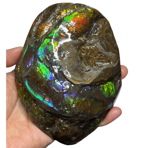 5.27 RARE High Grade Double-Sided Handheld Gem Specimen,   CS-232 * Ammolite  Free Shipping! アンモライトFREE SHIPPING!