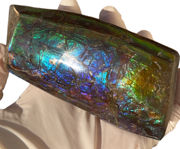 4.17" HIGH Grade Double-Sided Handheld Gem Specimen, Natural Hand Polished CS-233* Ammolite  Free Shipping! ナチュラルポーリッシュ　アンモライトFREE SHIPPING!