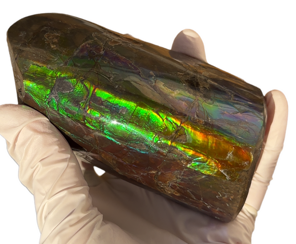 4.17" HIGH Grade Double-Sided Handheld Gem Specimen, Natural Hand Polished CS-233* Ammolite  Free Shipping! ナチュラルポーリッシュ　アンモライトFREE SHIPPING!