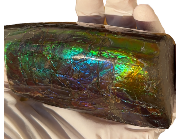 4.17" HIGH Grade Double-Sided Handheld Gem Specimen, Natural Hand Polished CS-233* Ammolite  Free Shipping! ナチュラルポーリッシュ　アンモライトFREE SHIPPING!