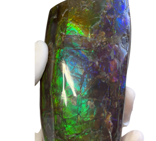 4.17" HIGH Grade Double-Sided Handheld Gem Specimen, Natural Hand Polished CS-233* Ammolite  Free Shipping! ナチュラルポーリッシュ　アンモライトFREE SHIPPING!