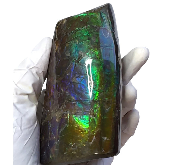 4.17" HIGH Grade Double-Sided Handheld Gem Specimen, Natural Hand Polished CS-233* Ammolite  Free Shipping! ナチュラルポーリッシュ　アンモライトFREE SHIPPING!