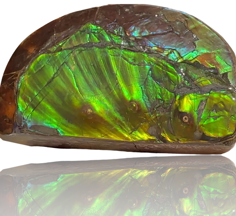 ★SALE★4.56" RARE High Grade Double-Sided Handheld Gem Specimen with horns ( nipplites)  CS-235 * Ammolite  Free Shipping! アンモライトFREE SHIPPING!