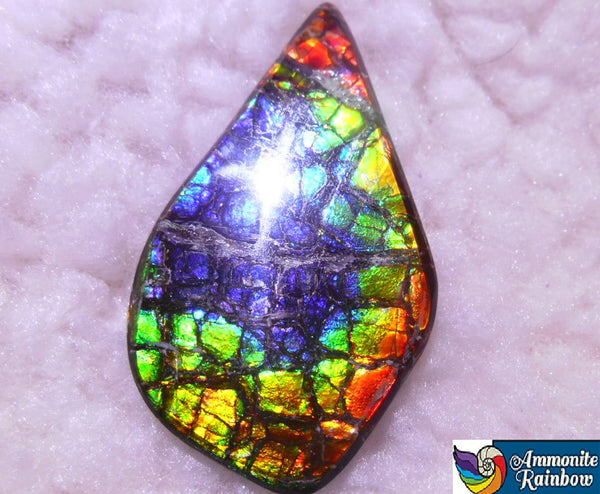 57 x 33 x 6 mm - Natural Free Form  AA GRADE FFN 190  Ammolite ナチュラル　ルース　アンモライト フリーフォーム