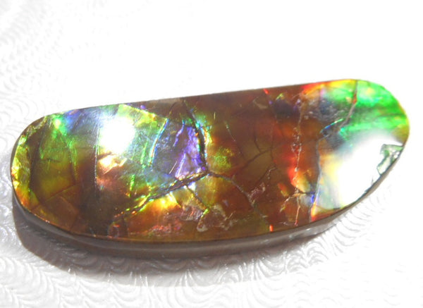 Copy of 35 x 8 mm - Natural Free Form FFN 93 Ammolite　　ナチュラル　ルース　アンモライト