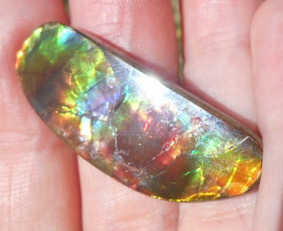 Copy of 35 x 8 mm - Natural Free Form FFN 93 Ammolite　　ナチュラル　ルース　アンモライト