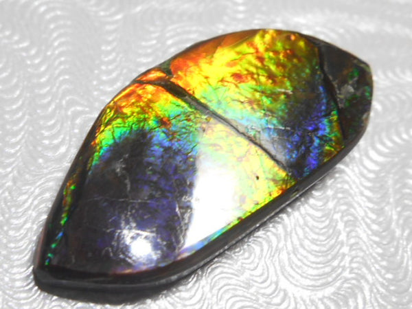 21 x 7 mm - Natural Free Form FFN 96 Ammolite　　ナチュラル　ルース　アンモライト