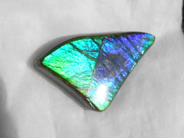 Large 50 x 28 mm Natural  Free Form . FFN 243  Ammolite   ナチュラル　ルース　アンモライト フリーフォーム