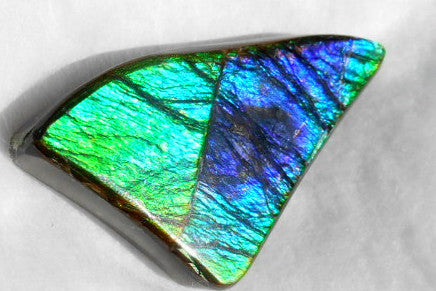 Large 50 x 28 mm Natural  Free Form . FFN 243  Ammolite   ナチュラル　ルース　アンモライト フリーフォーム
