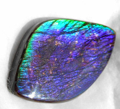 Large 55 x 34 mm Natural  Free Form . FFN 242  Ammolite   ナチュラル　ルース　アンモライト フリーフォーム