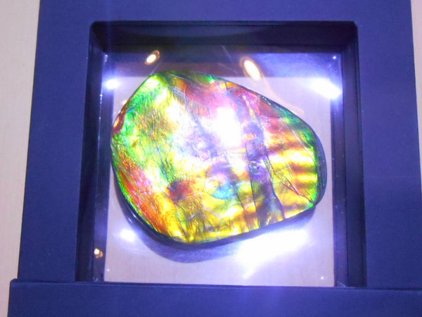 61 x 50  mm  - Natural Collector Stone - CS-66 Bear Claw Rarest Colors Lavender Pink and Gold ナチュラル  コレクターディスプレイピース