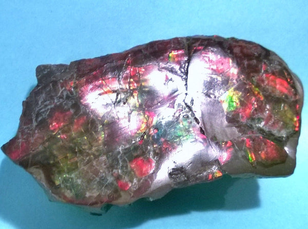 Double-Sided Rough Natural Display Ammolite Stone 112 x 53 x 35 mm - RS-7 両面カラー 原石 ディスプレイ アンモライト