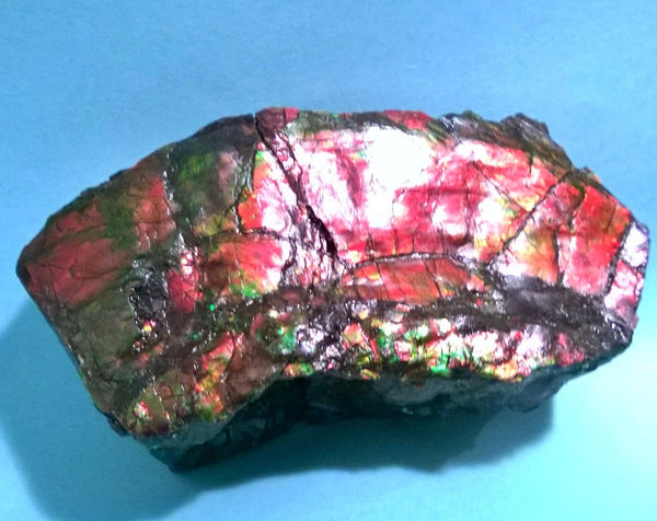 Double-Sided Rough Natural Display Ammolite Stone 112 x 53 x 35 mm - RS-7 両面カラー 原石 ディスプレイ アンモライト