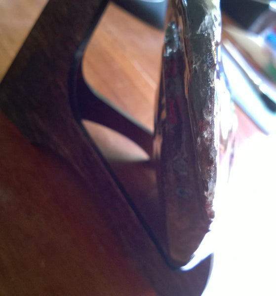 Amazing "Mama and Baby"  Placenticeras Ammonite Costatum.