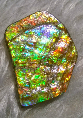 Butterfly wing shape  Ammolite with Nipplites 48.5 x 38 mm Collector Stone - CS-116   - アンモライト 蝶の羽シェイプ コレクターストーン　