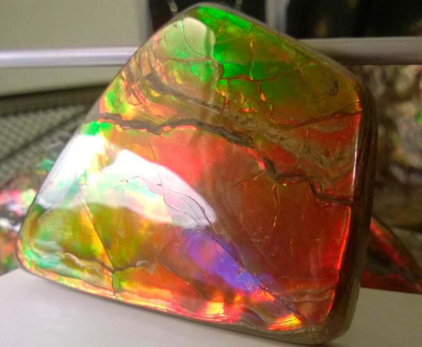 Super Bright  Ammolite   78 x 62 mm Collector Stone - CS-117   - アンモライト スーパーブライトカラー コレクターストーン　