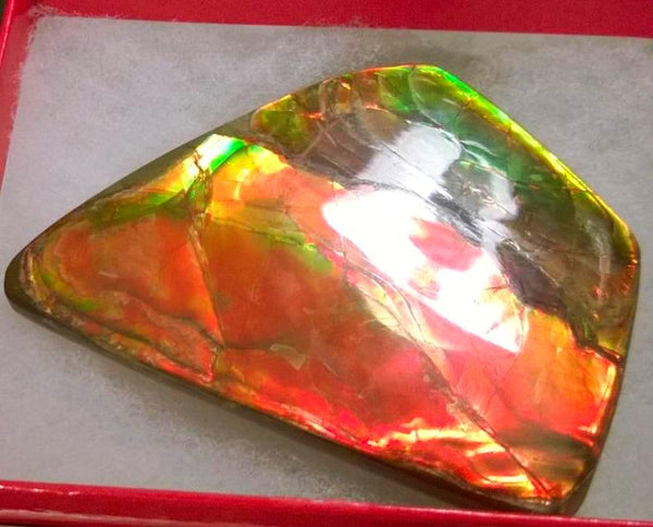 Super Bright  Ammolite   78 x 62 mm Collector Stone - CS-117   - アンモライト スーパーブライトカラー コレクターストーン　