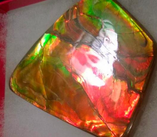 Super Bright  Ammolite   78 x 62 mm Collector Stone - CS-117   - アンモライト スーパーブライトカラー コレクターストーン　