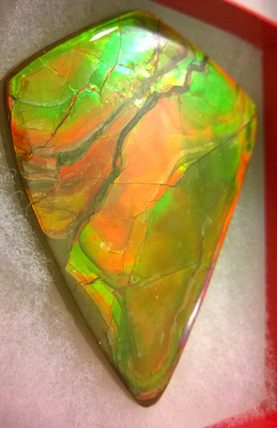 Super Bright  Ammolite   78 x 62 mm Collector Stone - CS-117   - アンモライト スーパーブライトカラー コレクターストーン　
