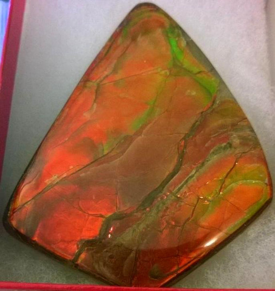 Super Bright  Ammolite   78 x 62 mm Collector Stone - CS-117   - アンモライト スーパーブライトカラー コレクターストーン　