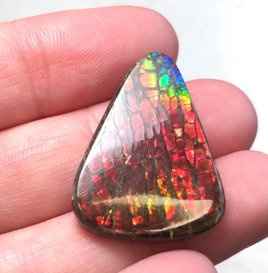 3 stones LOT  Ammolite NATURAL Hand POLISHED Gemstone Loose Gemstone,