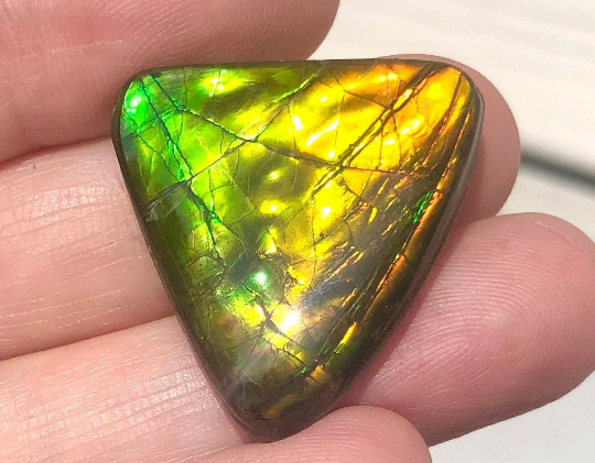 RESERVED  Ammolite Freeform Cabochon 25x24mm Loose Gem, BRIGHT Canadian Ammolite Ammonite.DIY jewelry, Wrapping pendant, Metaphysical FFC-115