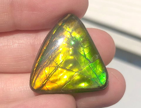 RESERVED  Ammolite Freeform Cabochon 25x24mm Loose Gem, BRIGHT Canadian Ammolite Ammonite.DIY jewelry, Wrapping pendant, Metaphysical FFC-115