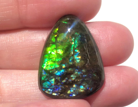 RESERVED for C.  Lot  Ammolite  4 stones Loose Gem, BRIGHT Canadian Ammolite Ammonite.DIY jewelry, Wrapping pendant, Metaphysical FFCL-008
